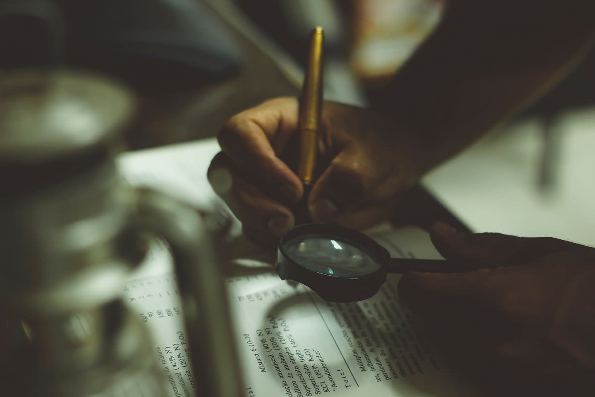 MINIMIZING THE RISK OF GETTING AUDITED