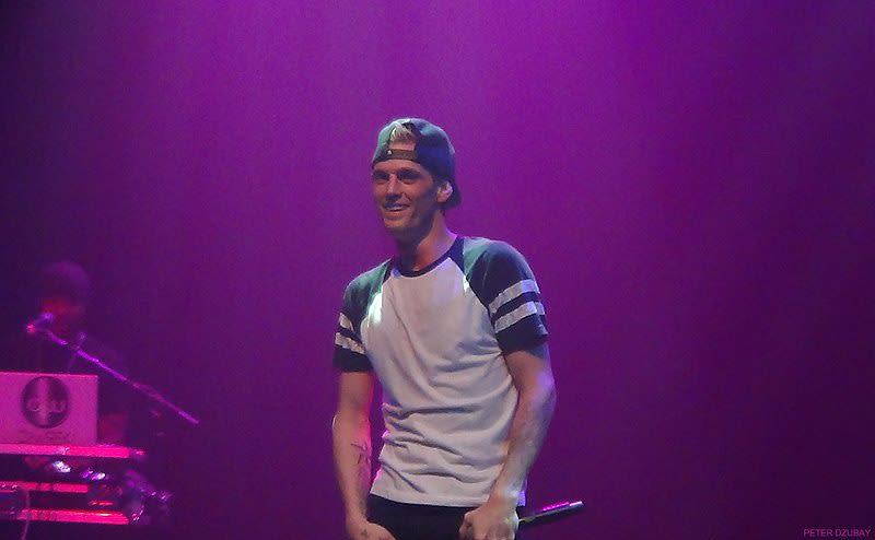 AARON CARTER’S ESTATE & INHERITANCE